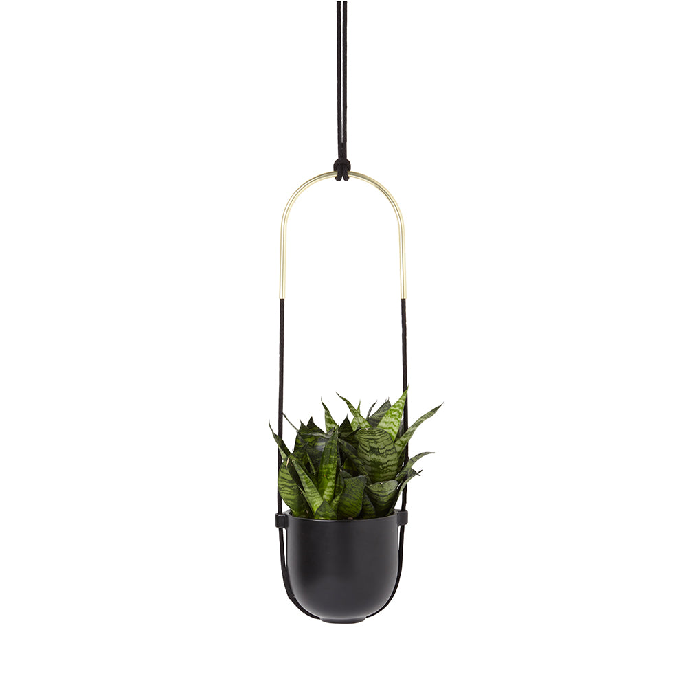 Bolo Planter Black