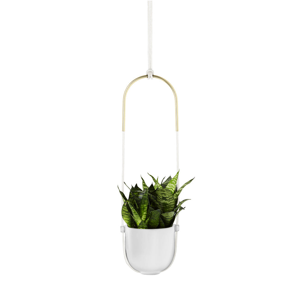 Bolo Planter White