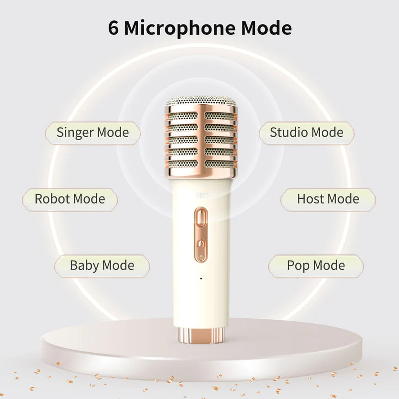 Songbird-HQ Portable Karaoke Bluetooth Speaker | Home KTV sound set