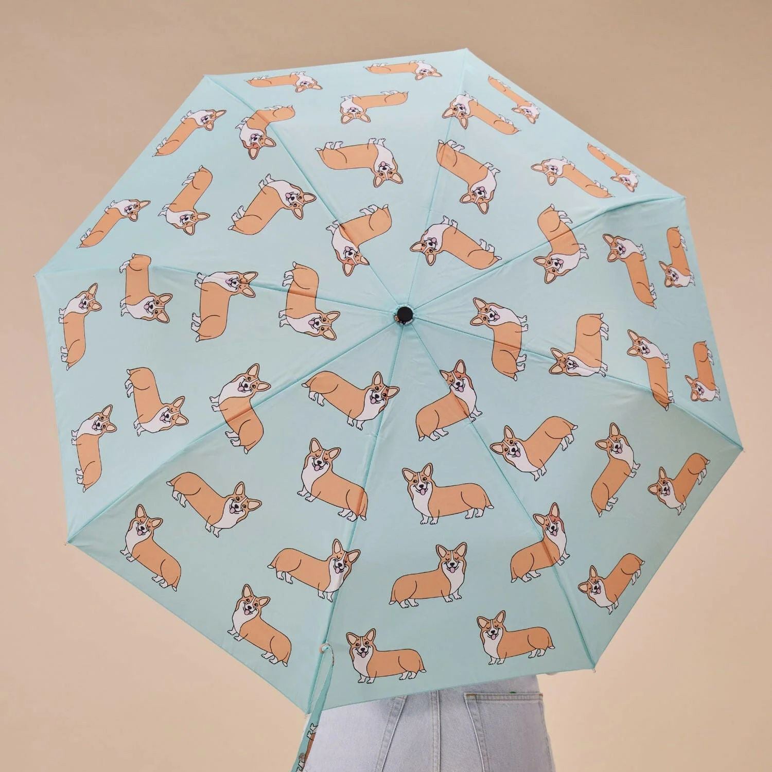 Corgi Mint Compact Duck Umbrella