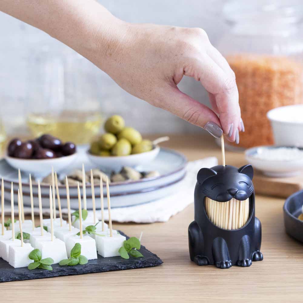 Pickitty Toothpick dispenser