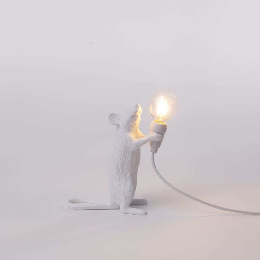 Mouse Lamp Step