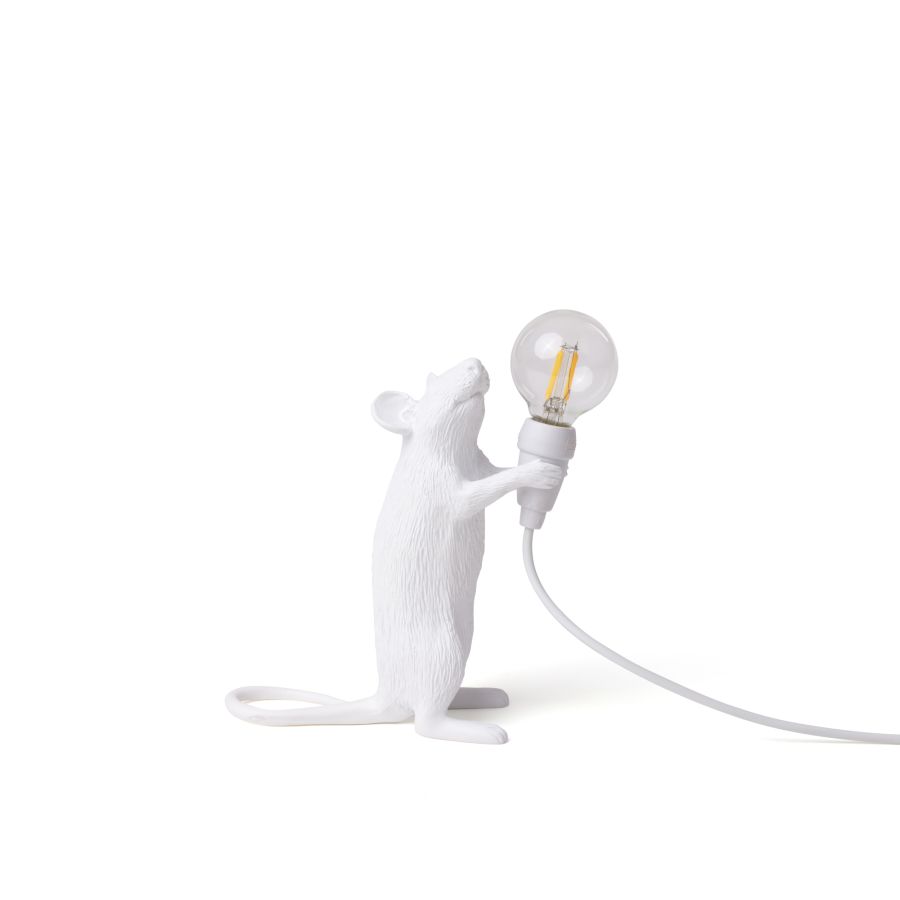 Mouse Lamp Step