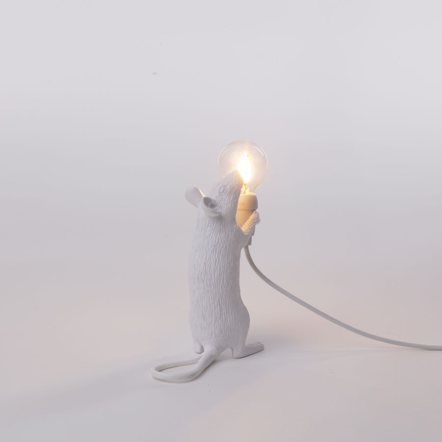 Mouse Lamp Step