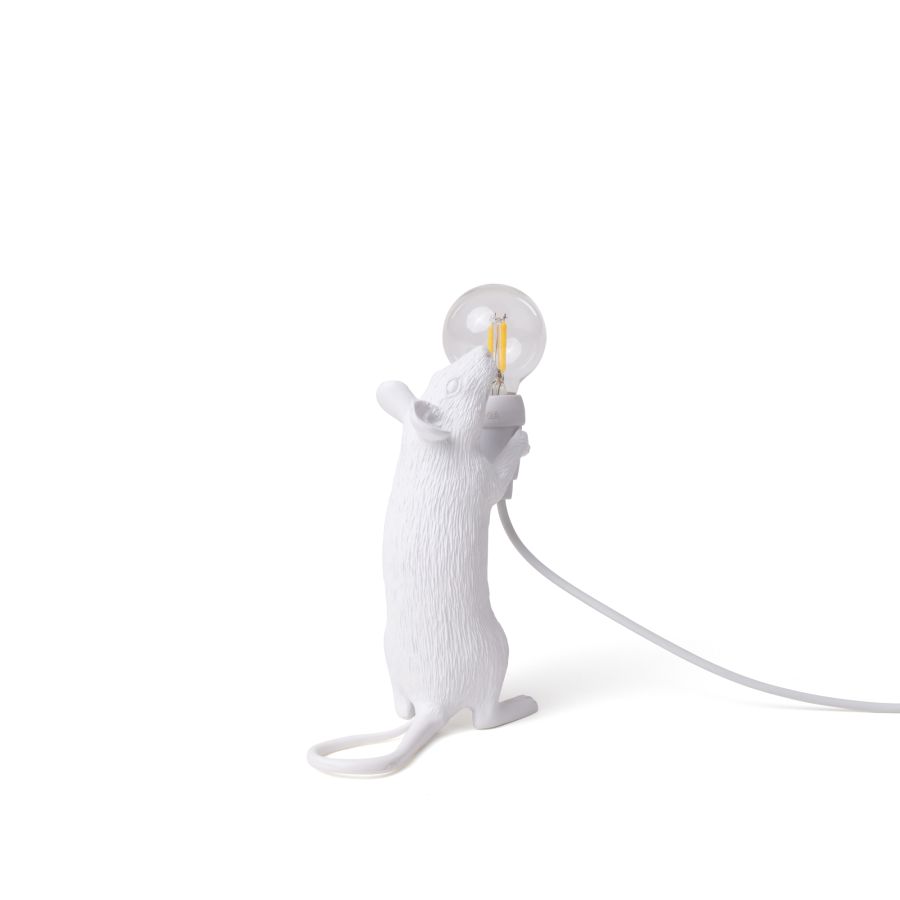 Mouse Lamp Step